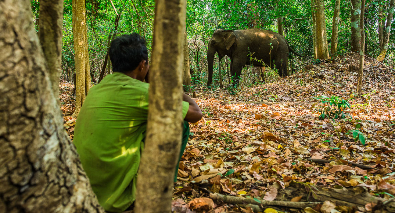 Vietnam's first ethical elephant experience Vietnam Tourism